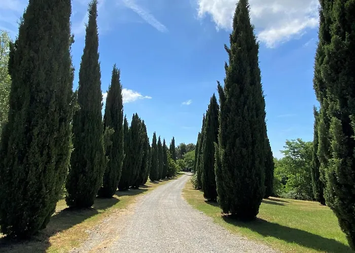 Lince-7 By Interhome Apartment Riparbella